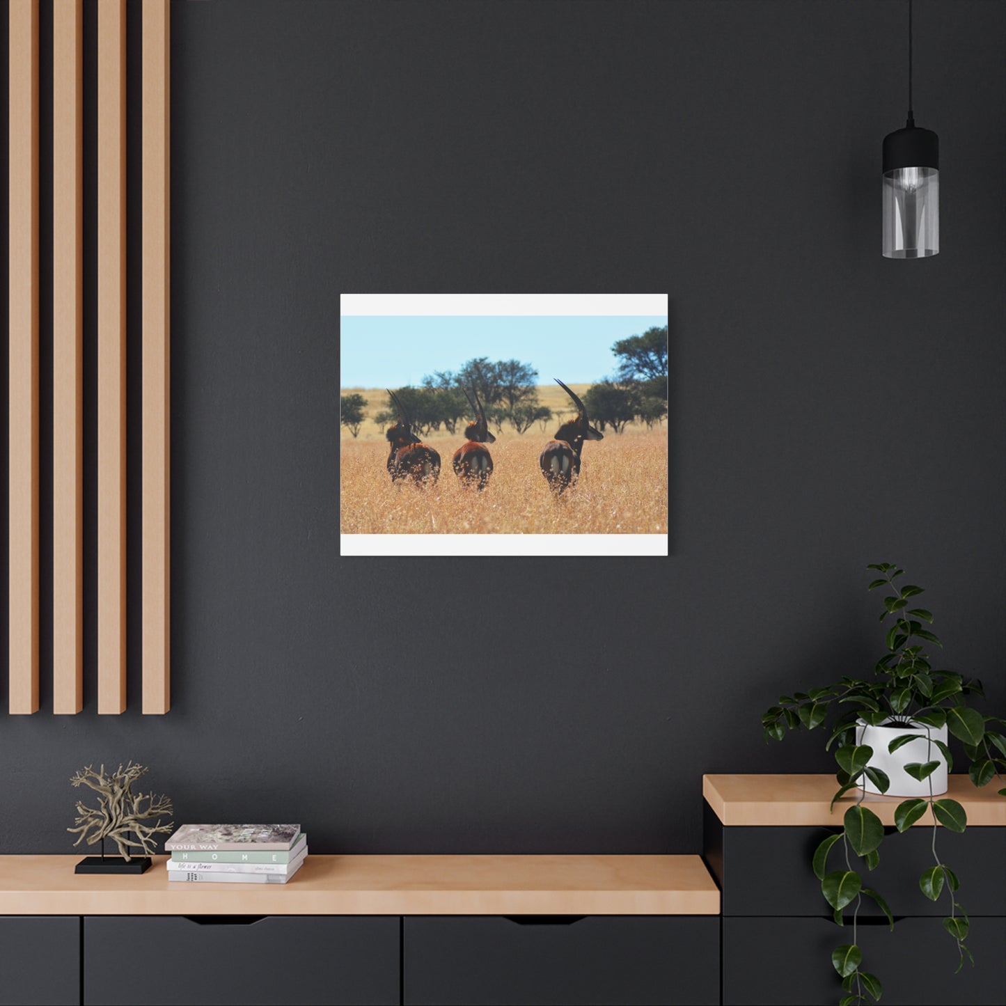 Sable Trio in Africa Canvas Print