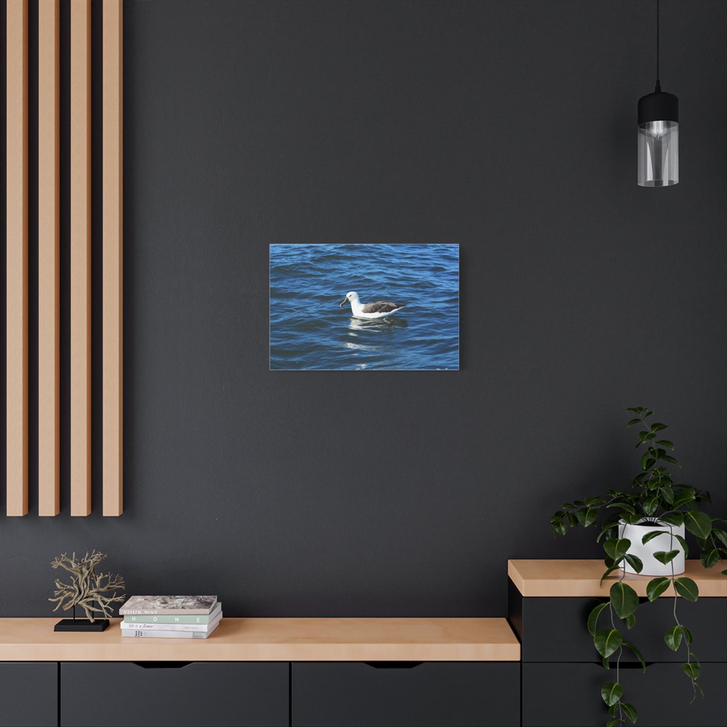 Albatross Canvas Print Sea Bird
