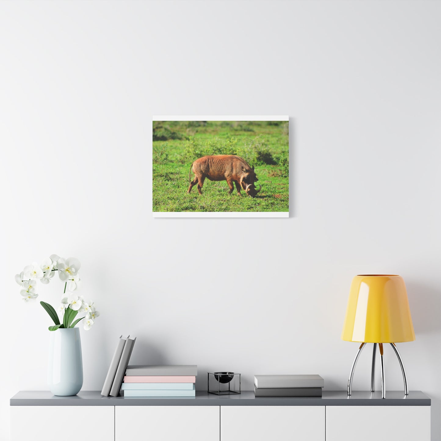 African Warthog - Canvas Print