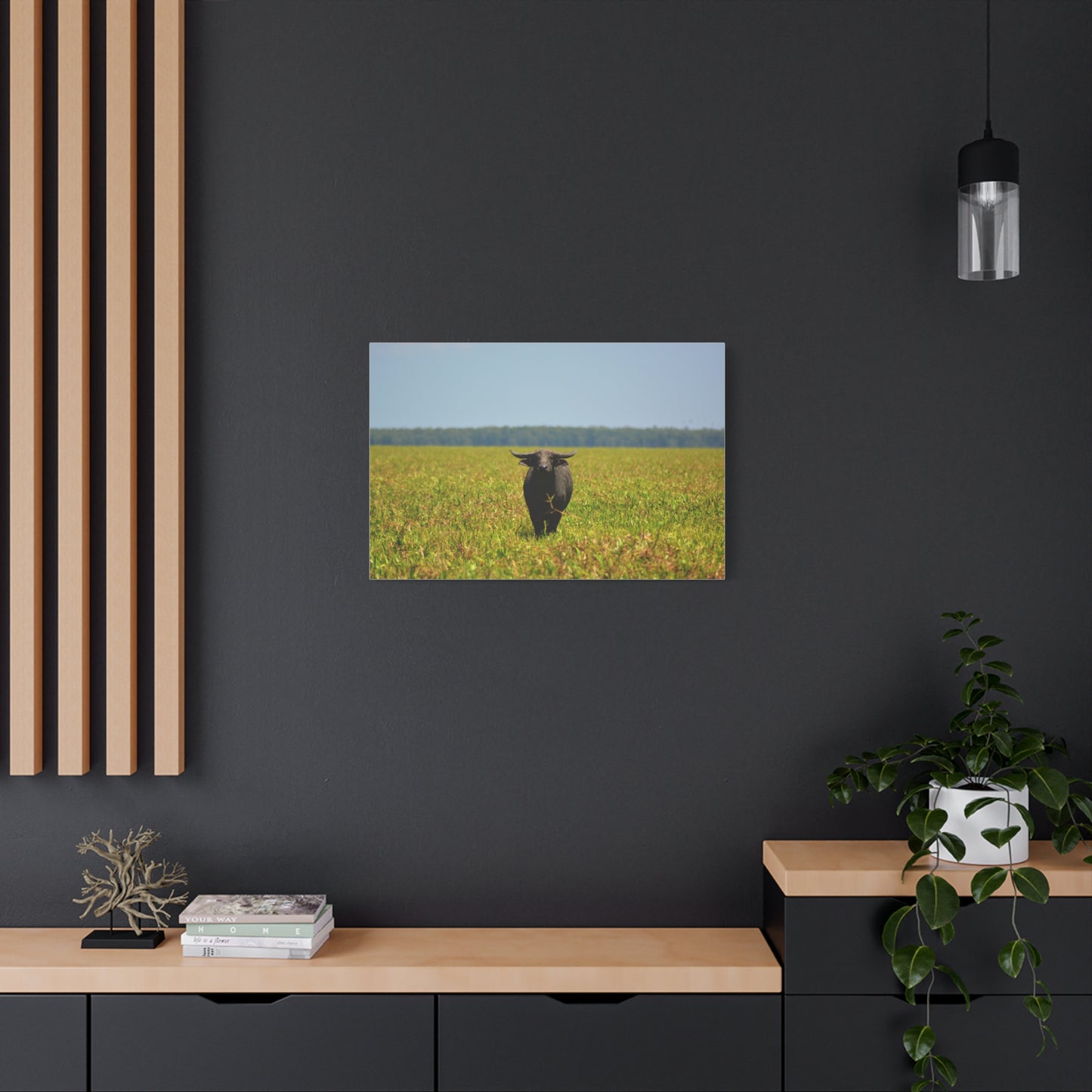 Asiatic Water Buffalo Australian Outback - Canvas Print