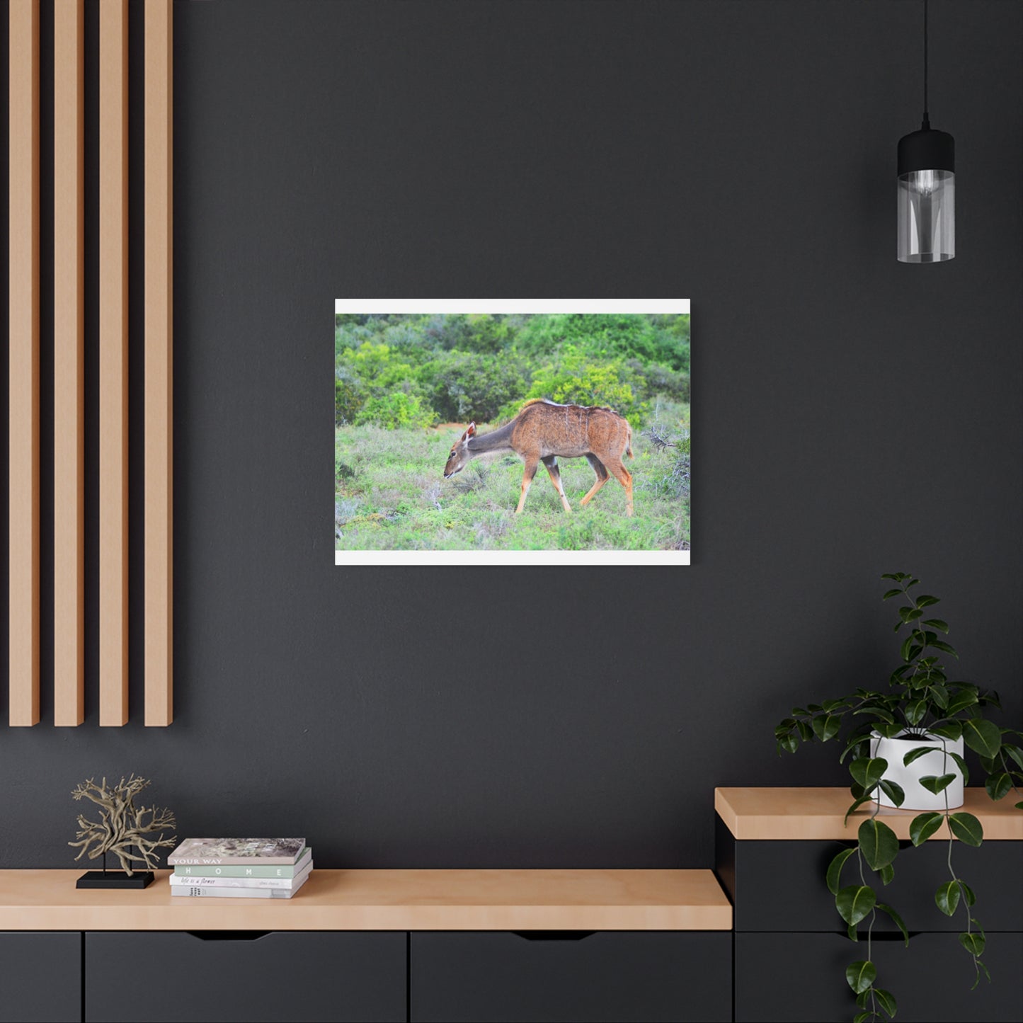 Africa Kudu Cow - Canvas Print