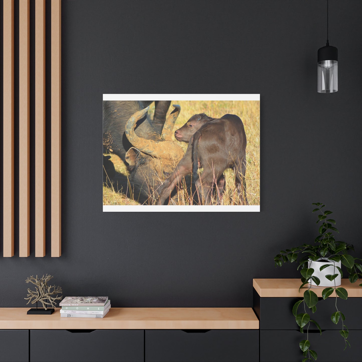 Cape Buffalo Tends to Calf
