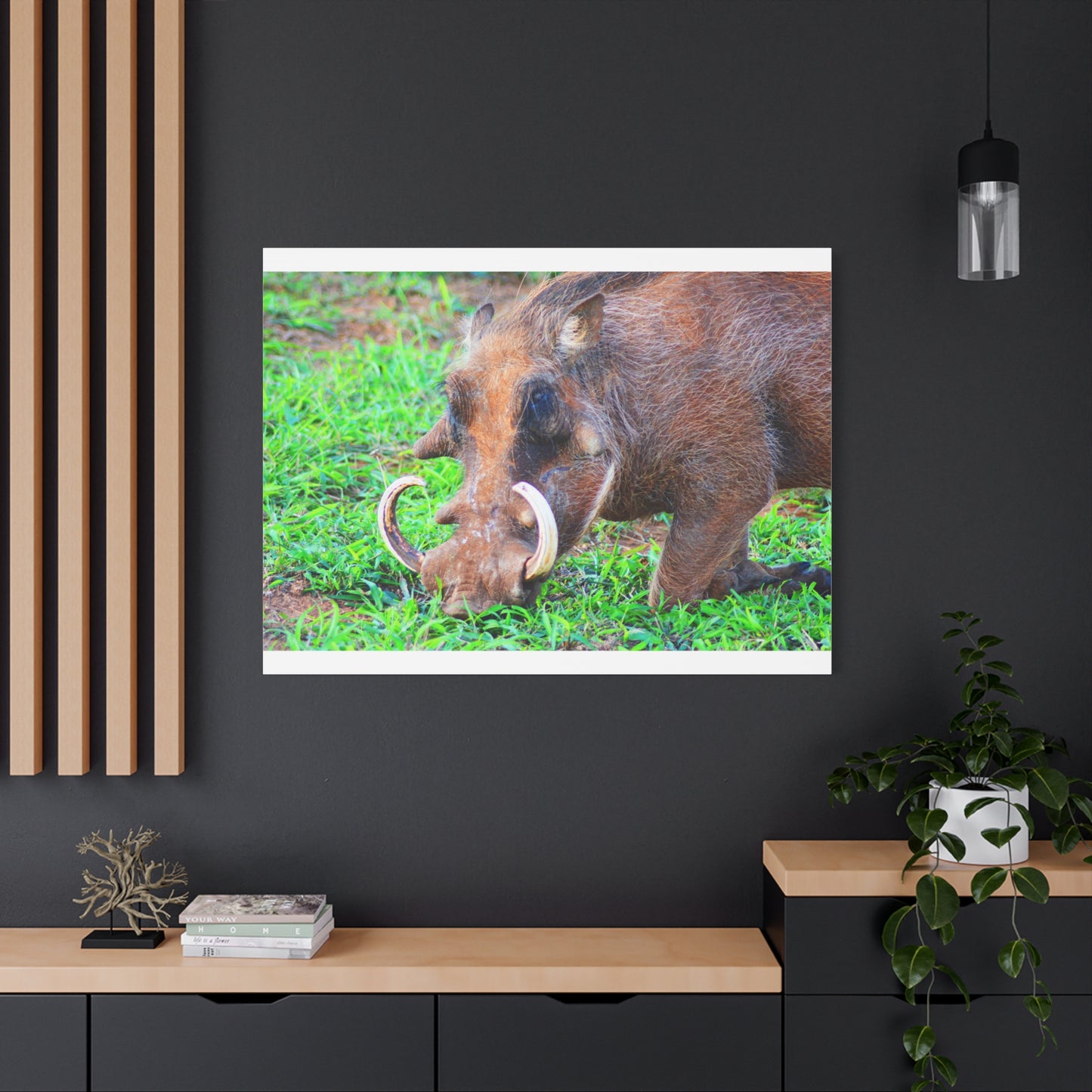 African Warthog Eating - Canvas Print