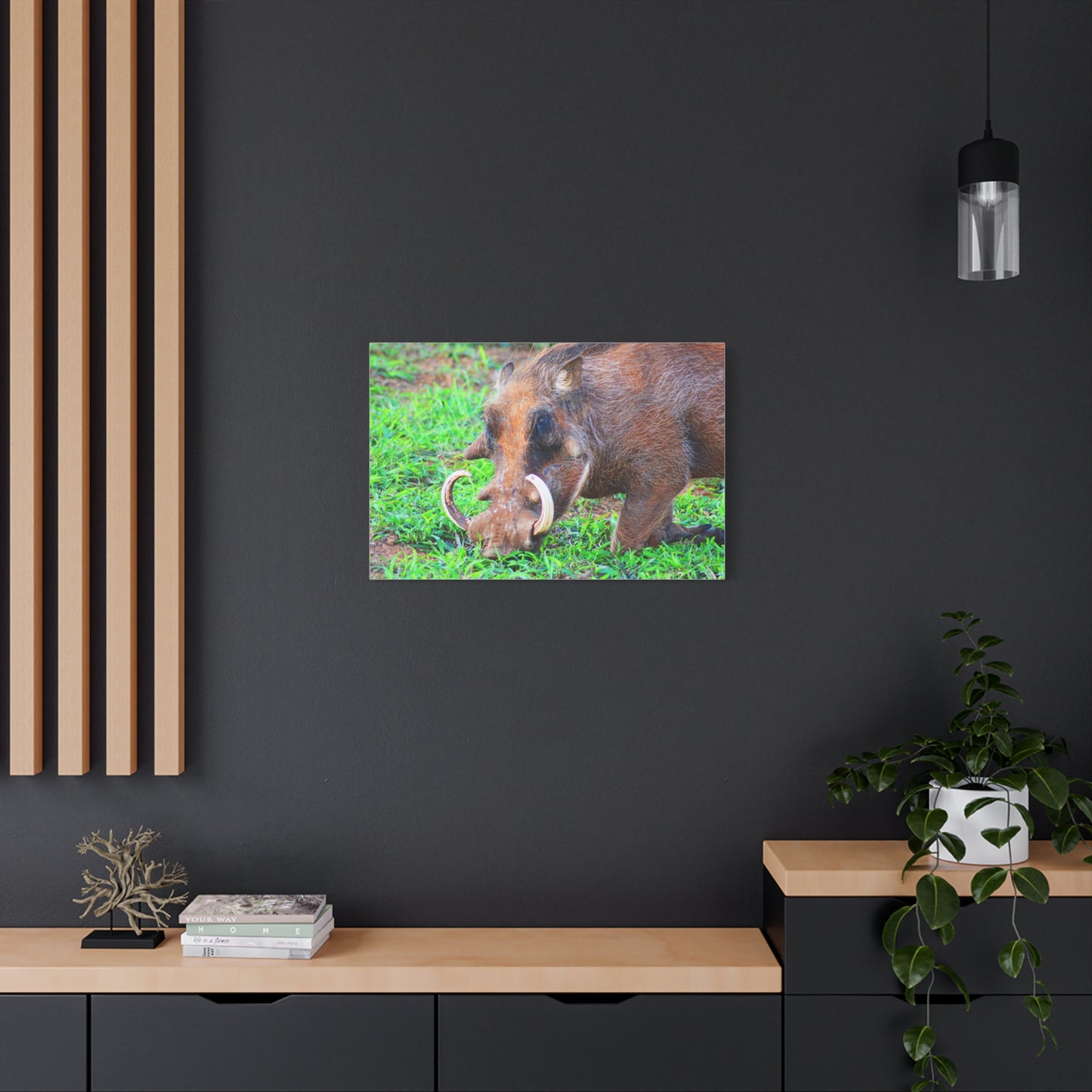 African Warthog Eating - Canvas Print