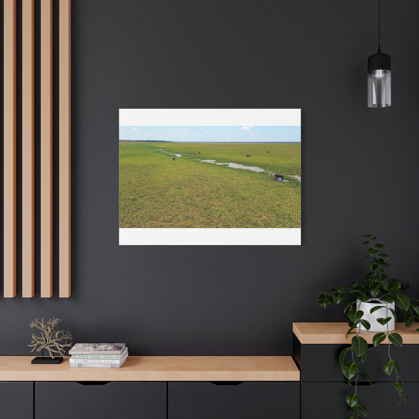 Asiatic Water Buffalo Australian Outback - Canvas Print