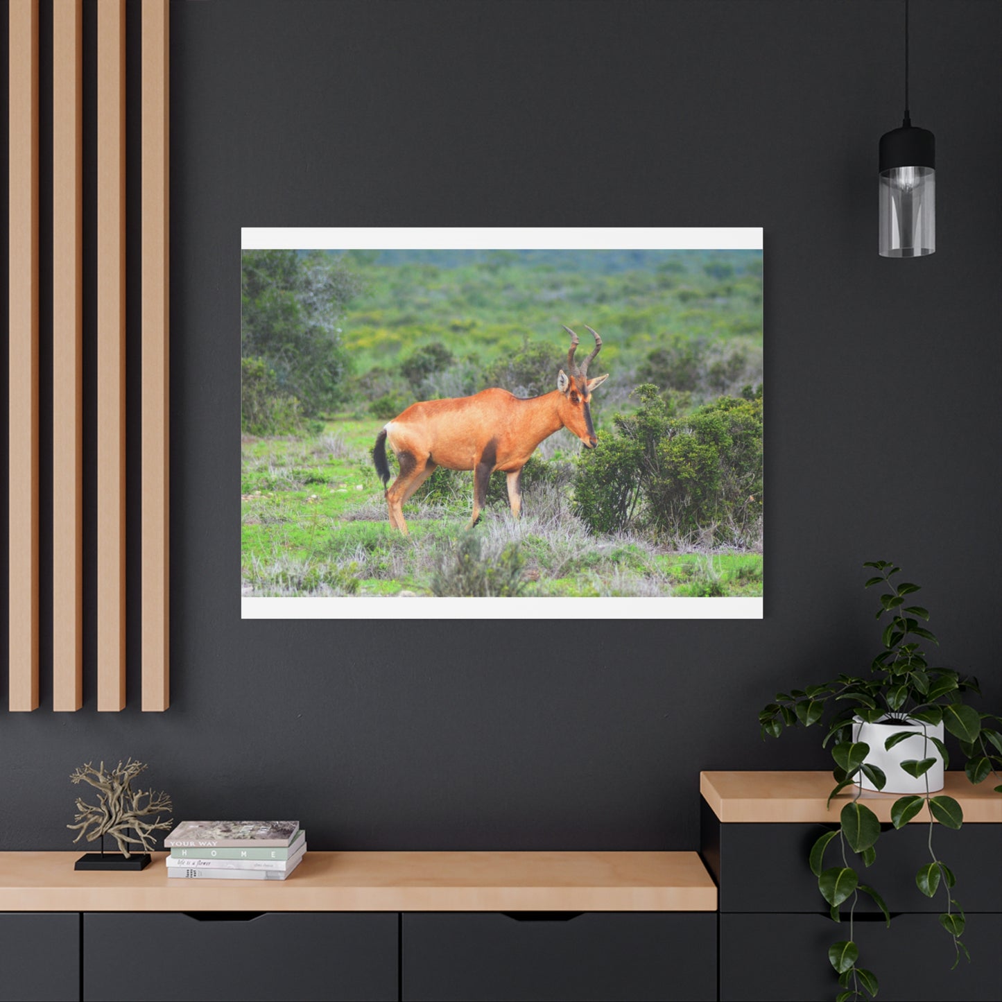 Africa Red Hartebeest - Canvas Print