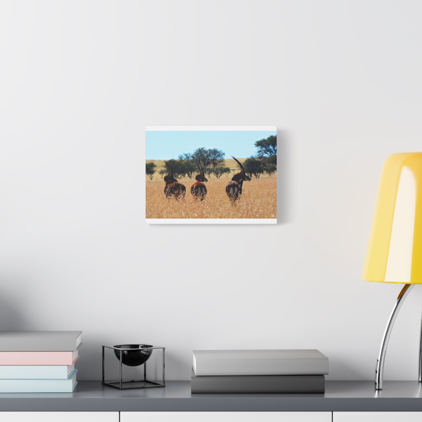 Sable Trio in Africa Canvas Print