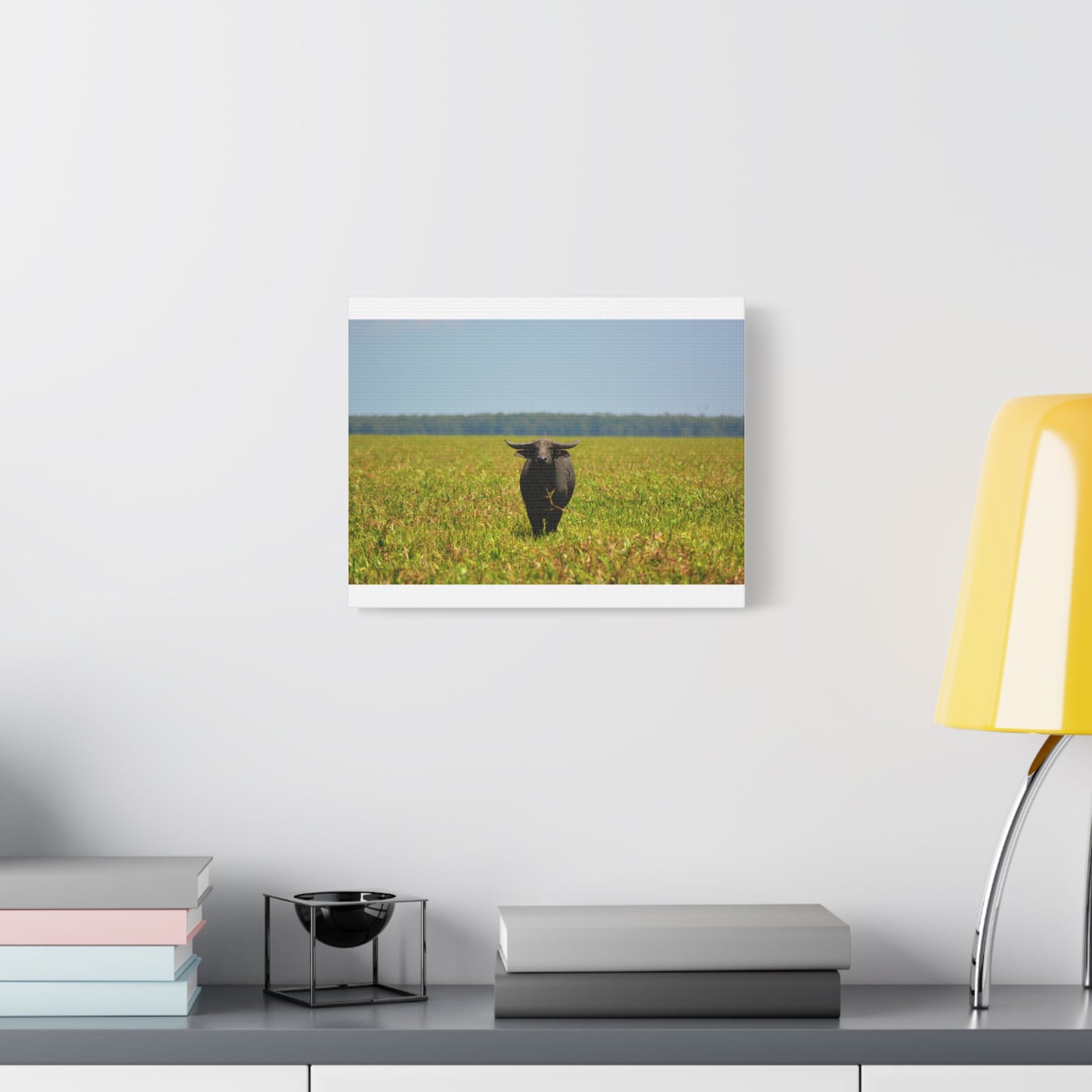 Asiatic Water Buffalo Australian Outback - Canvas Print