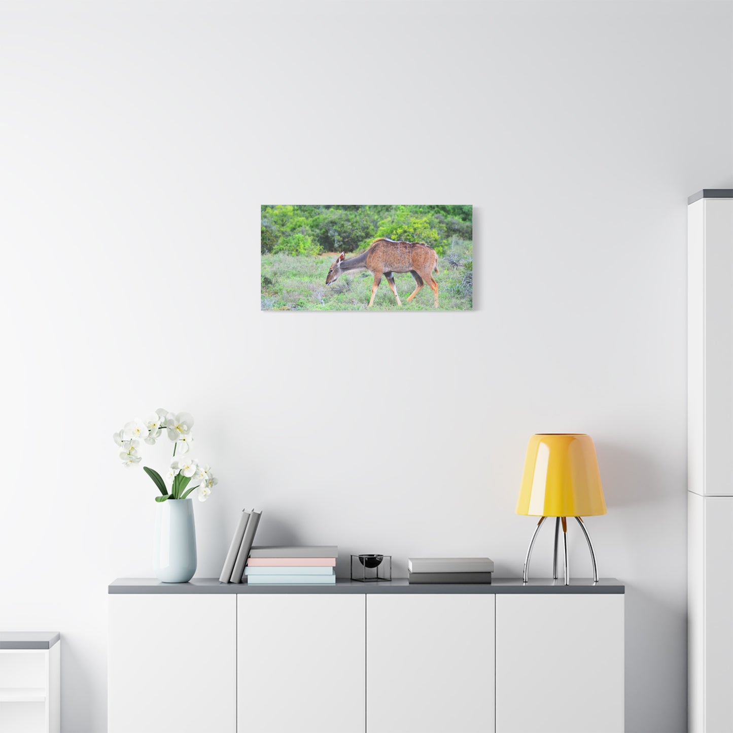 Africa Kudu Cow - Canvas Print