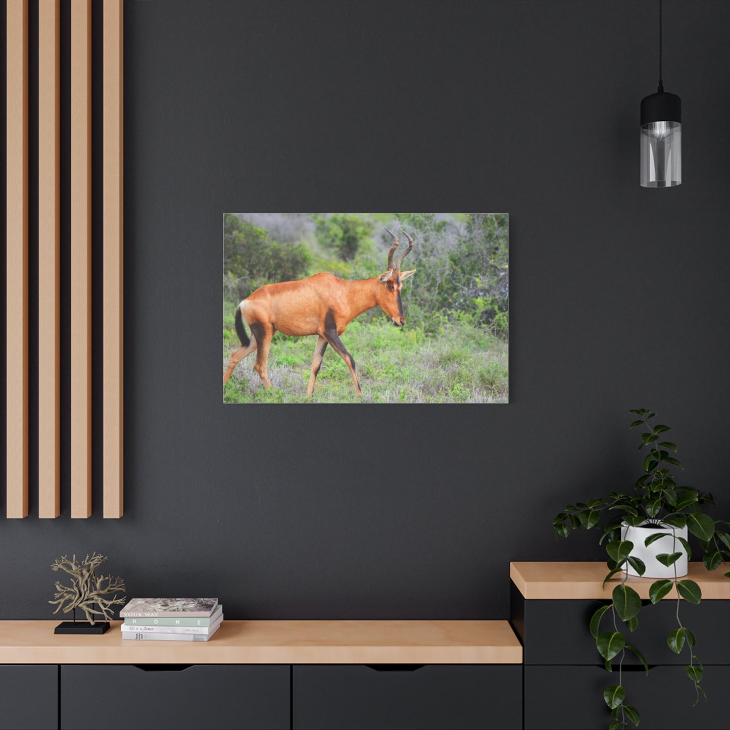 Red Hartebeest - Canvas Print