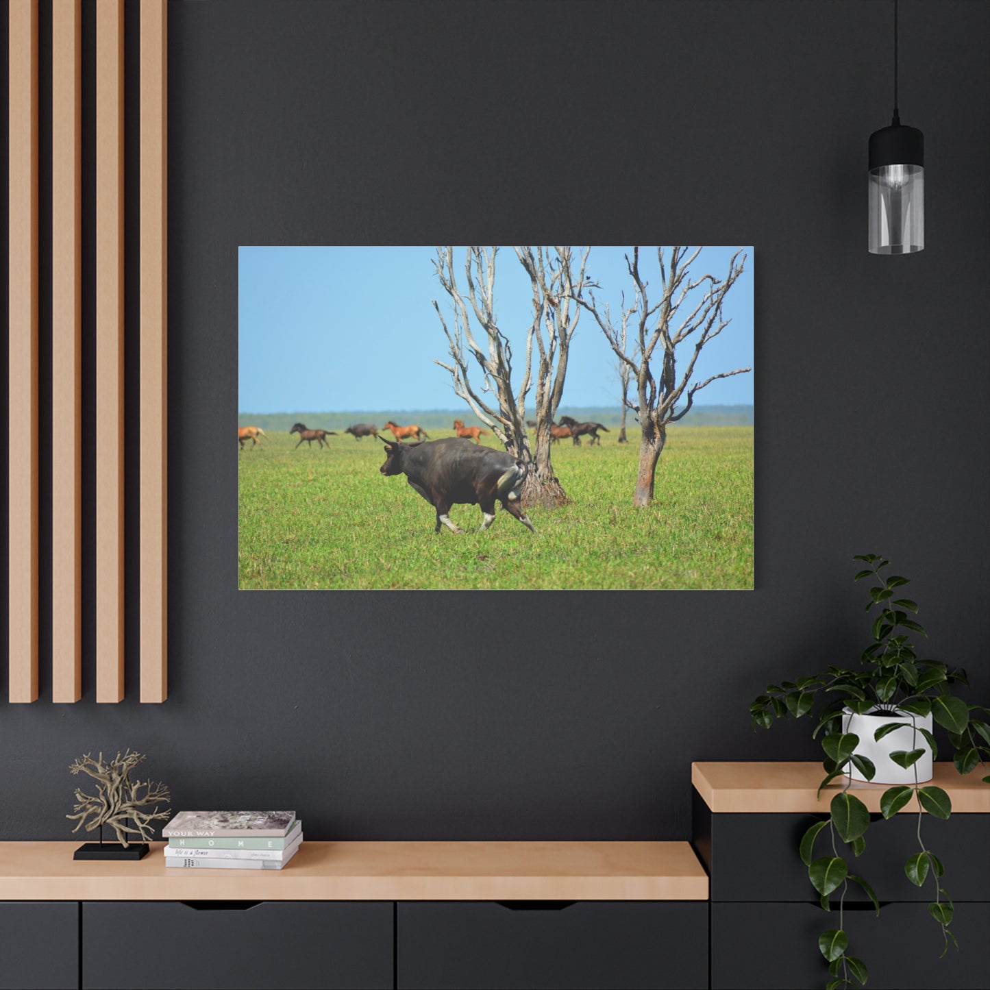 Australia Banteng - Canvas Print