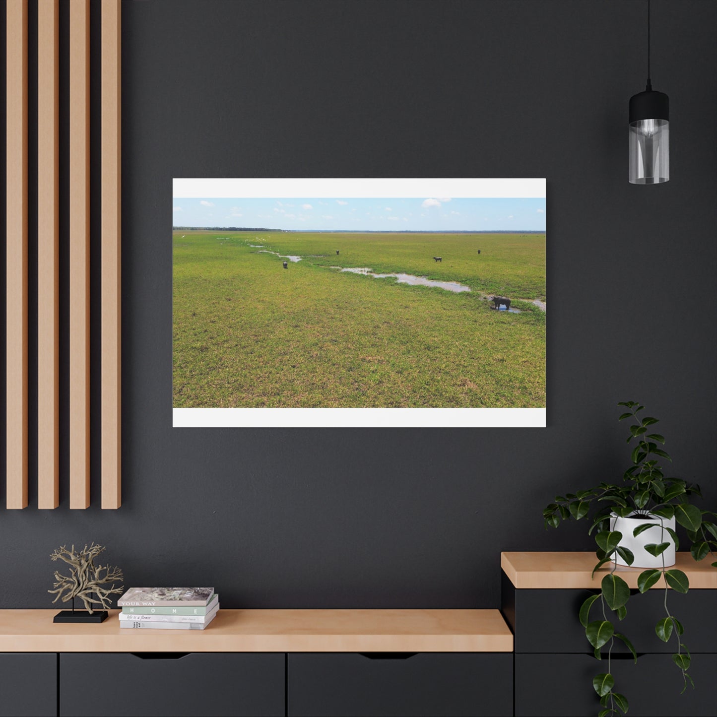 Asiatic Water Buffalo Australian Outback - Canvas Print