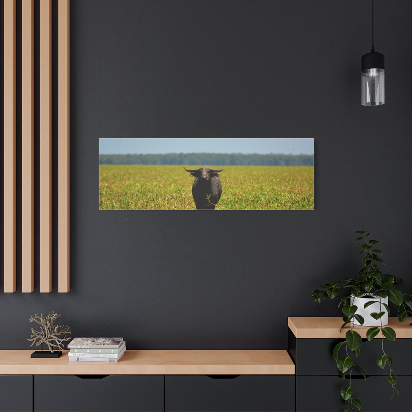 Asiatic Water Buffalo Australian Outback - Canvas Print