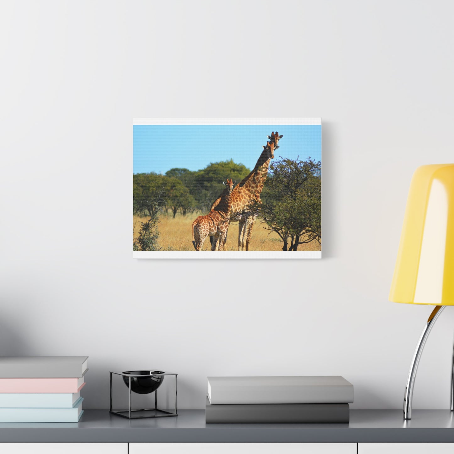 Giraffe Family in Africa