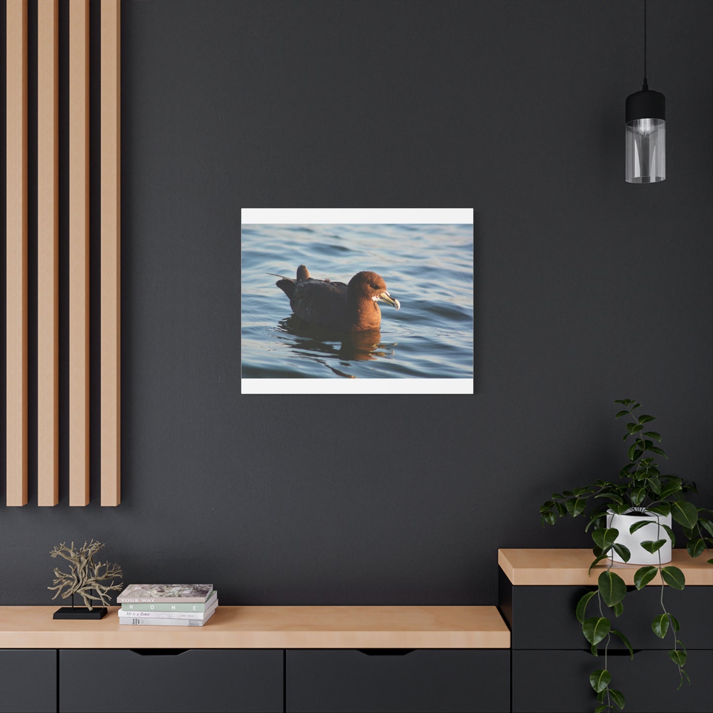 Bird Art Wall Decor, Coastal Wall Art, Ocean Decor, Nature Photography, Sea Bird Print