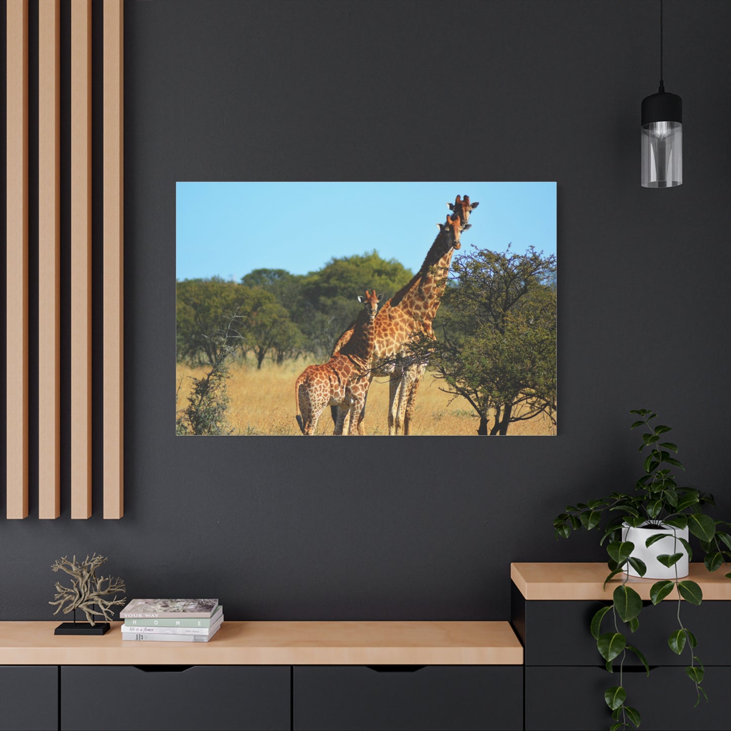 Giraffe Family in Africa