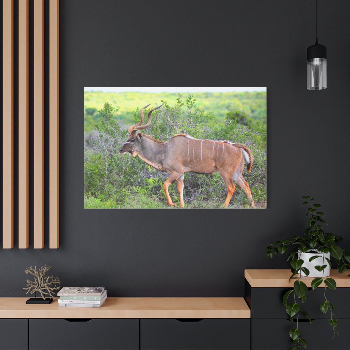 Africa Kudu Bull - Canvas Print