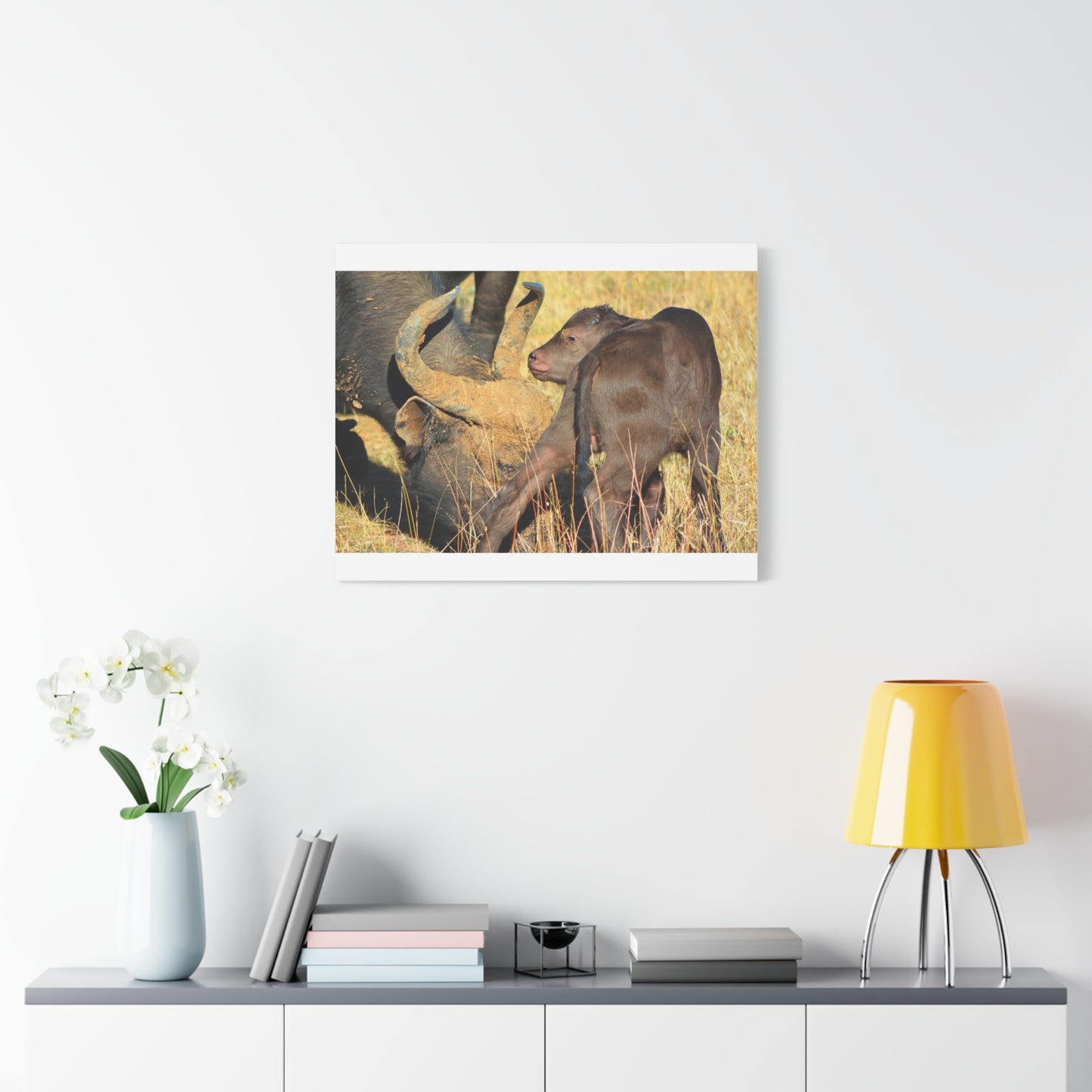 Cape Buffalo Tends to Calf
