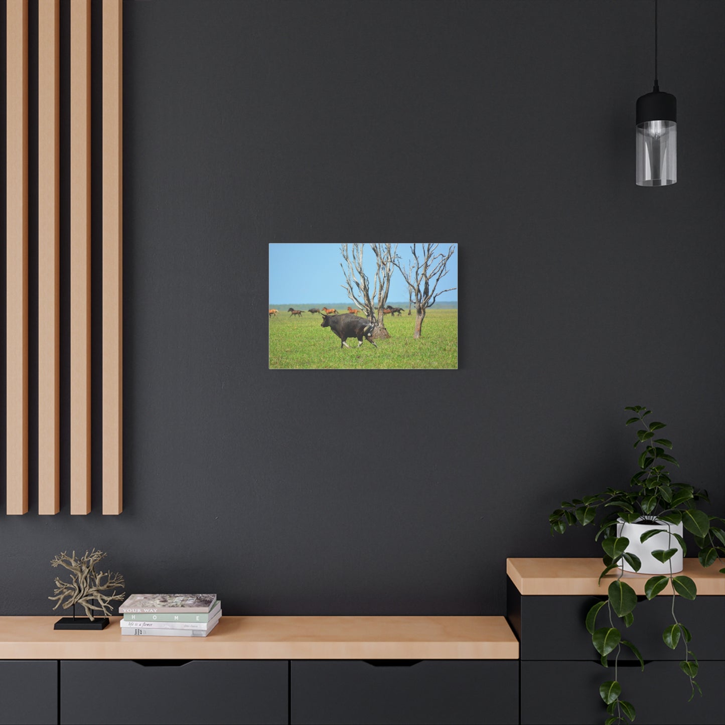 Australia Banteng - Canvas Print