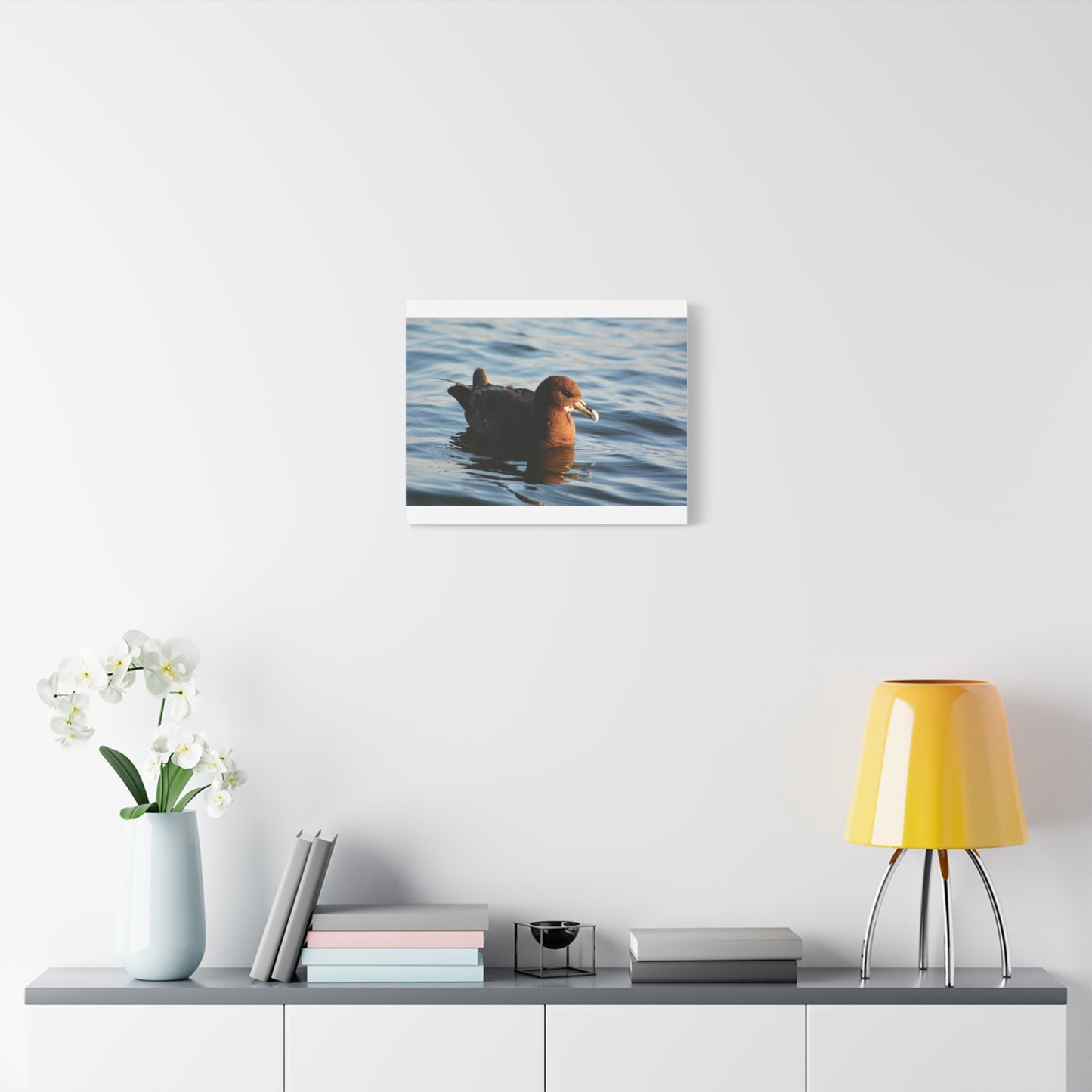 Bird Art Wall Decor, Coastal Wall Art, Ocean Decor, Nature Photography, Sea Bird Print