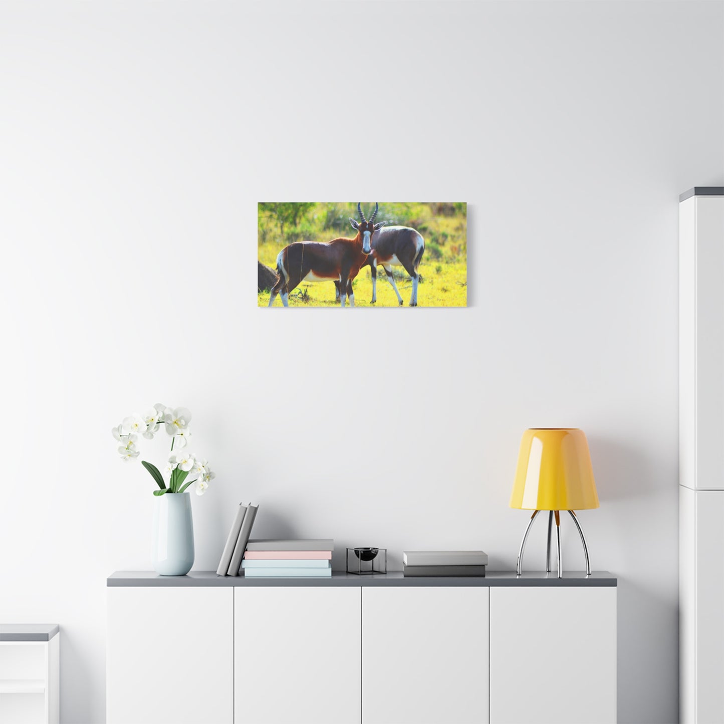 Blesbok in Africa - Canvas Print