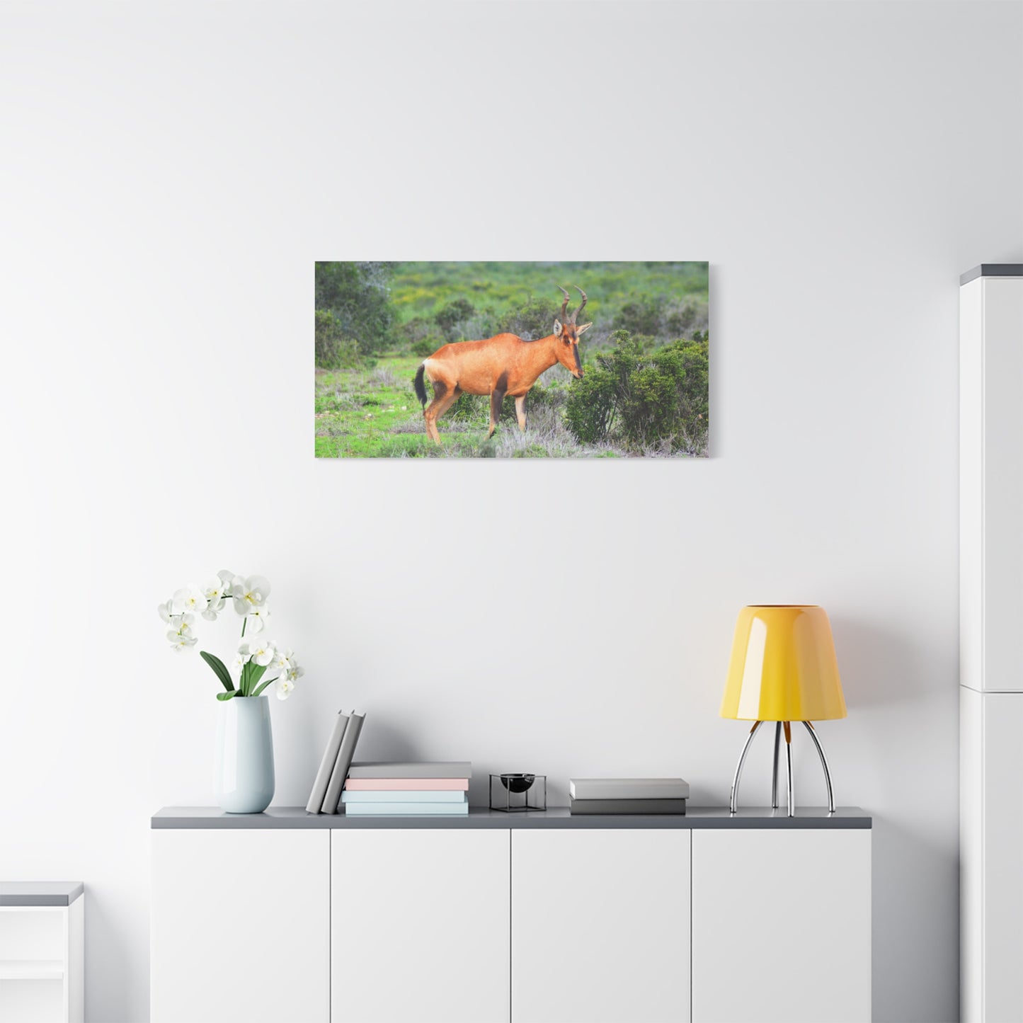 Africa Red Hartebeest - Canvas Print