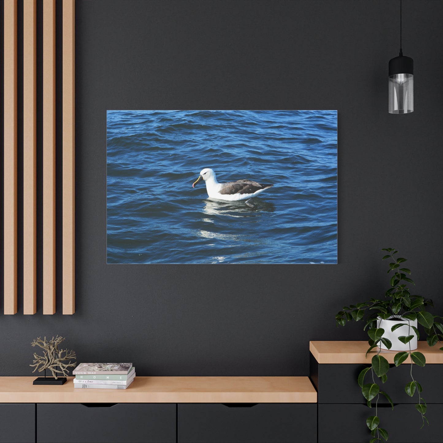 Albatross Canvas Print Sea Bird
