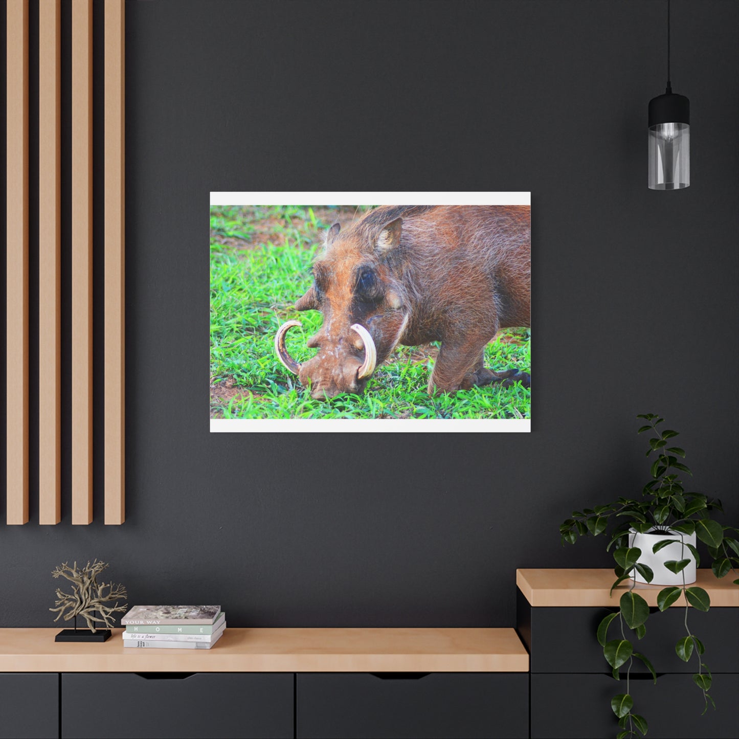 African Warthog Eating - Canvas Print