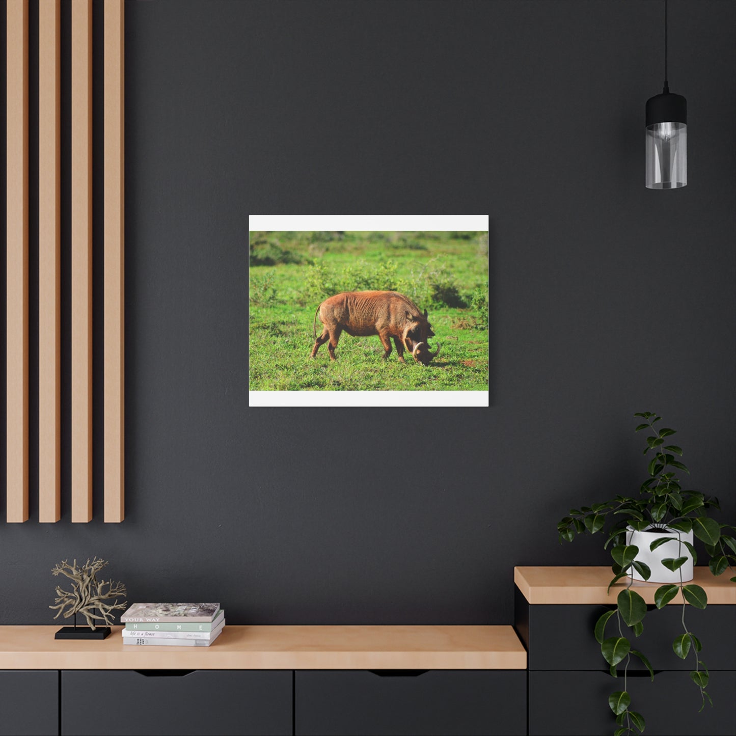 African Warthog - Canvas Print