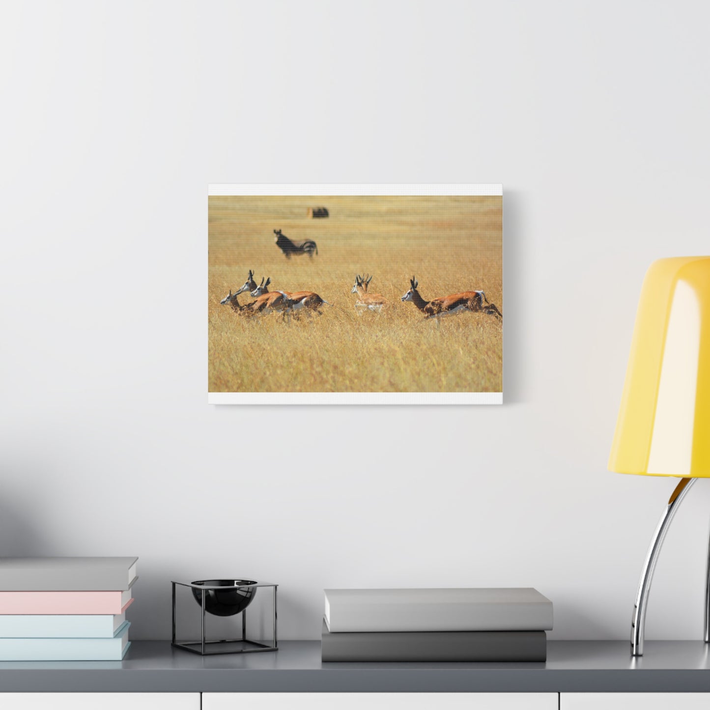 Springbok Herd in African Savannah