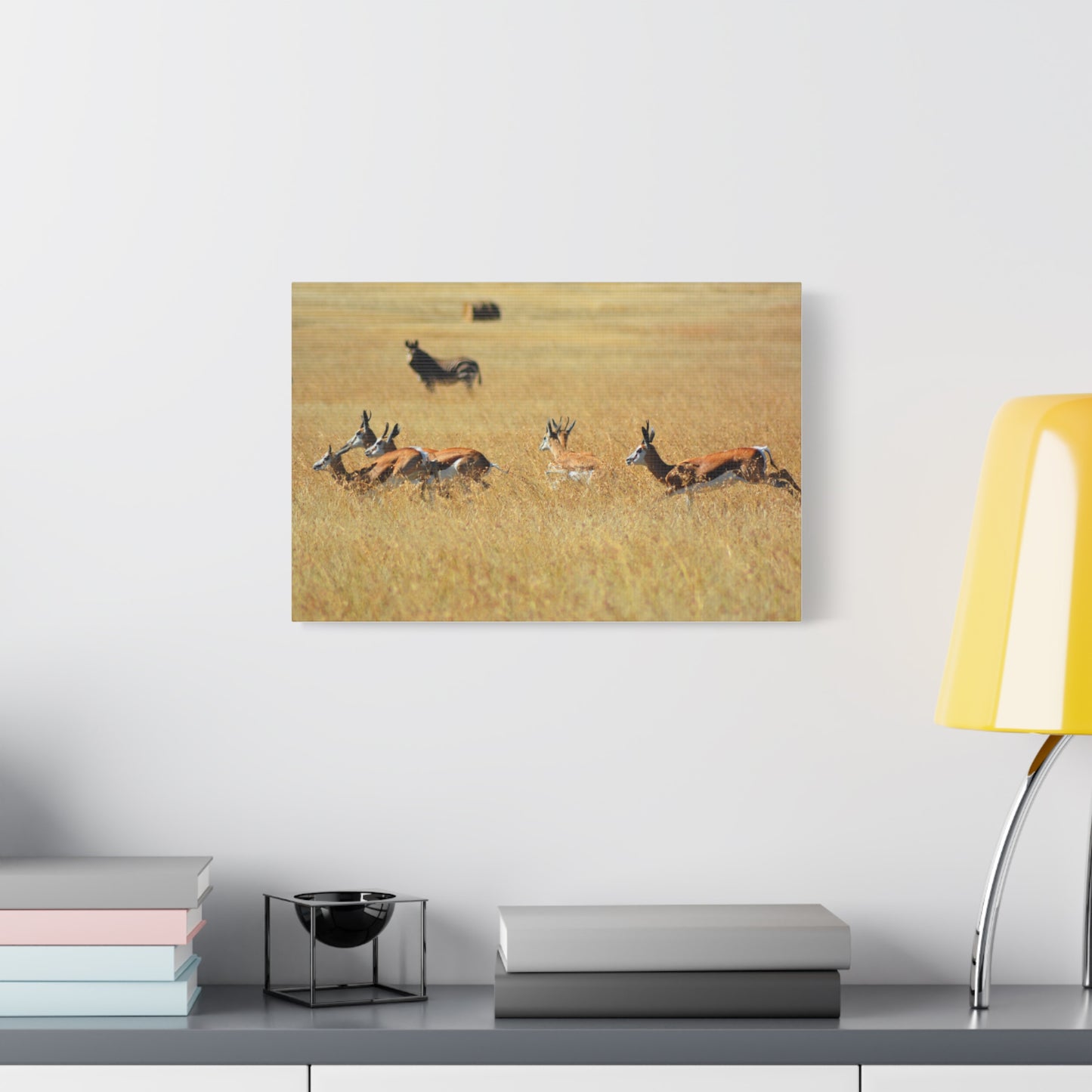Springbok Herd in African Savannah