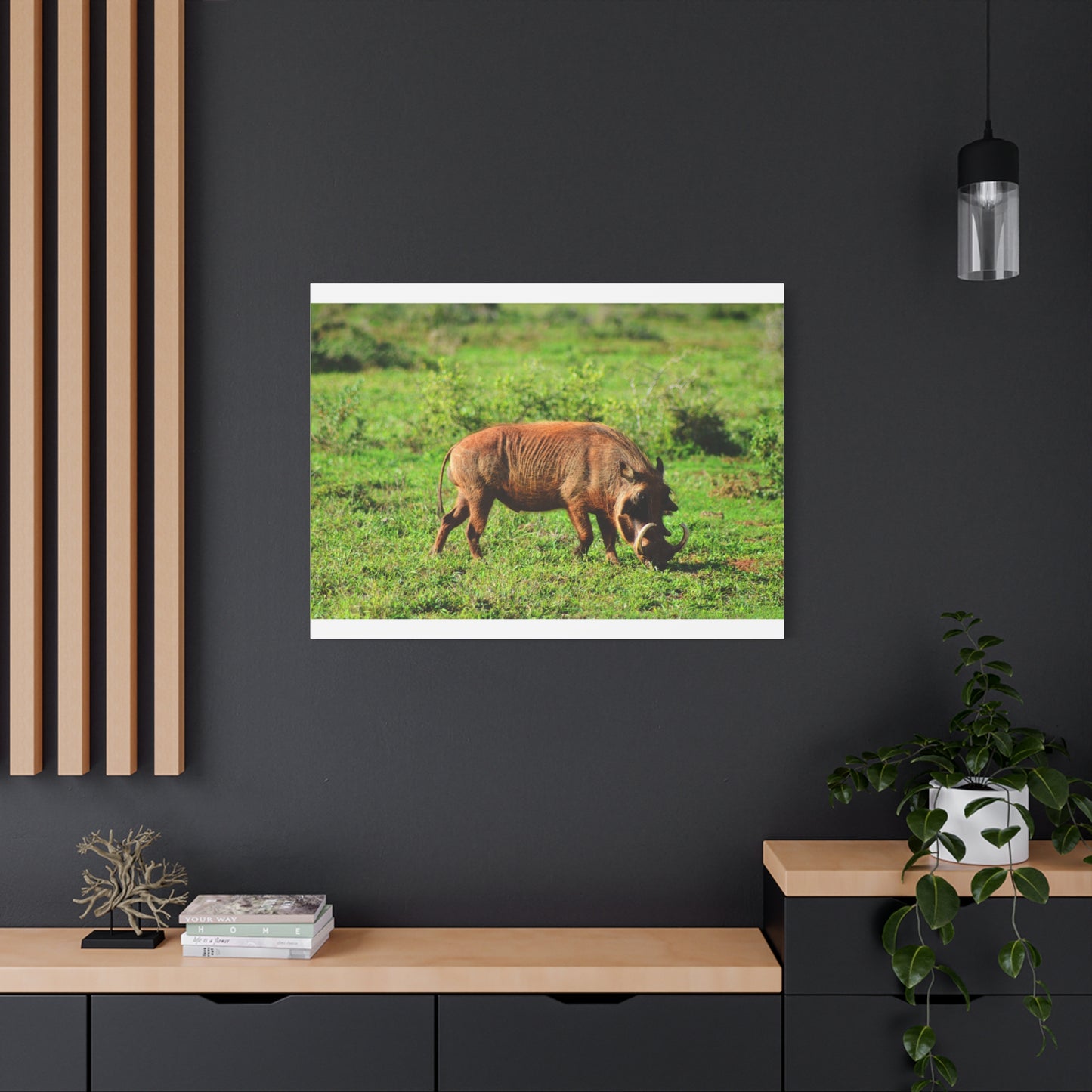 African Warthog - Canvas Print