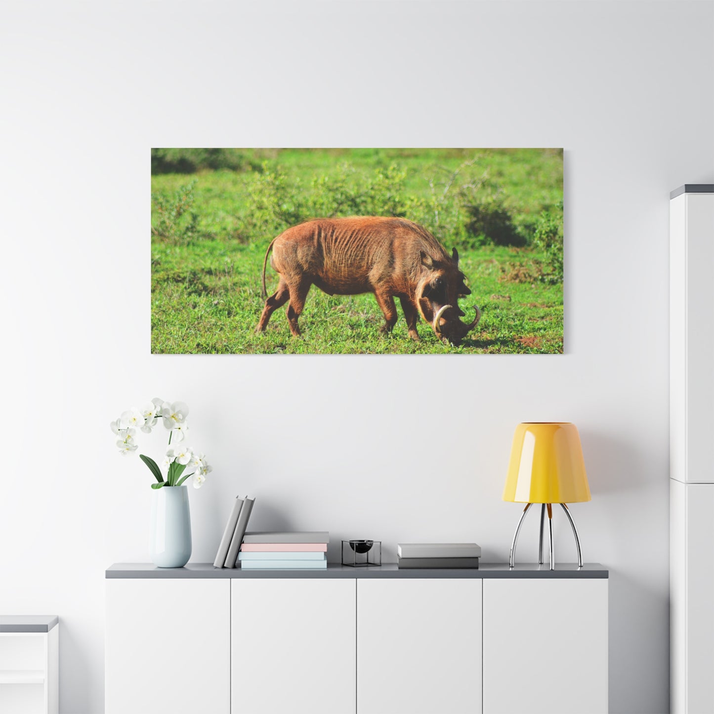 African Warthog - Canvas Print
