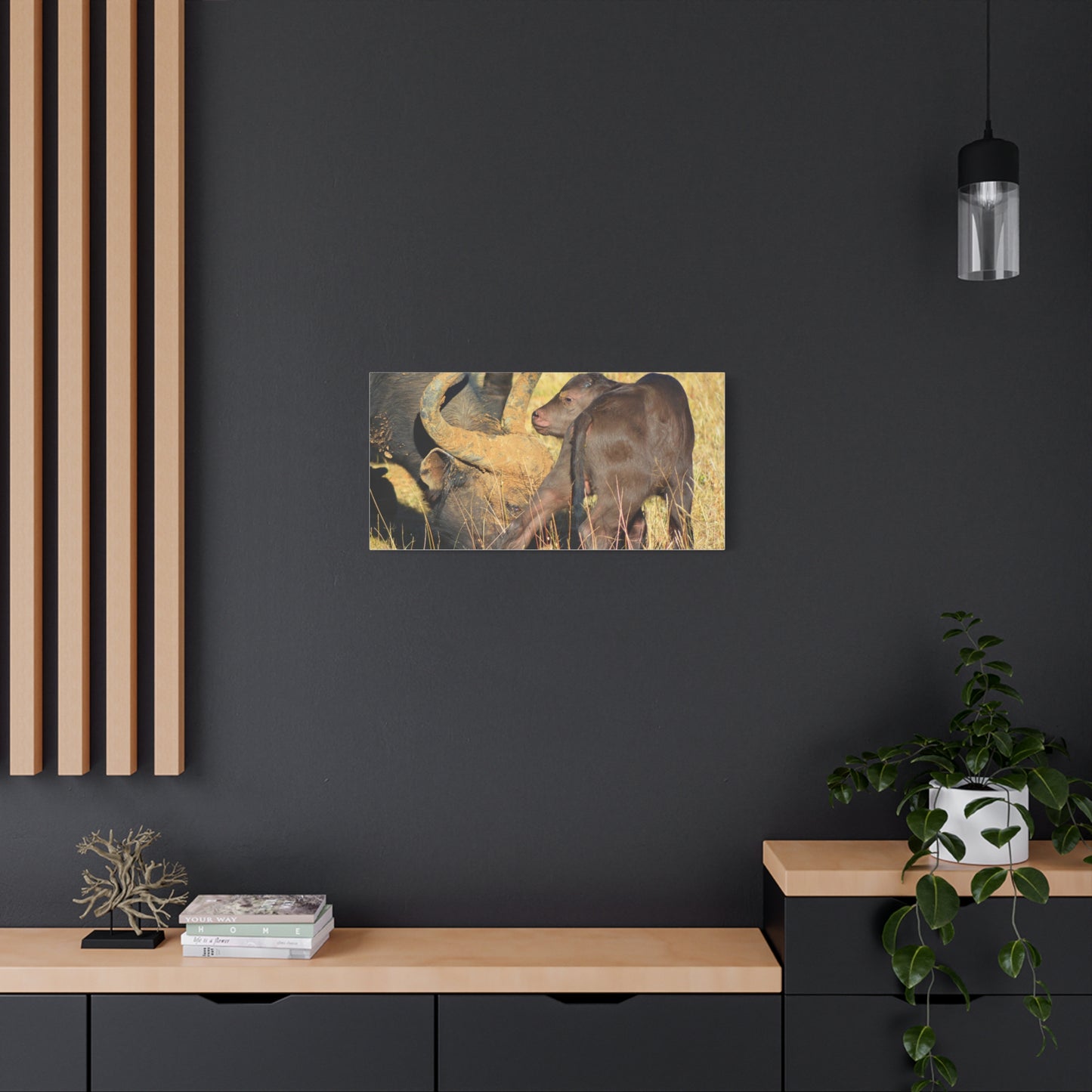 Cape Buffalo Tends to Calf