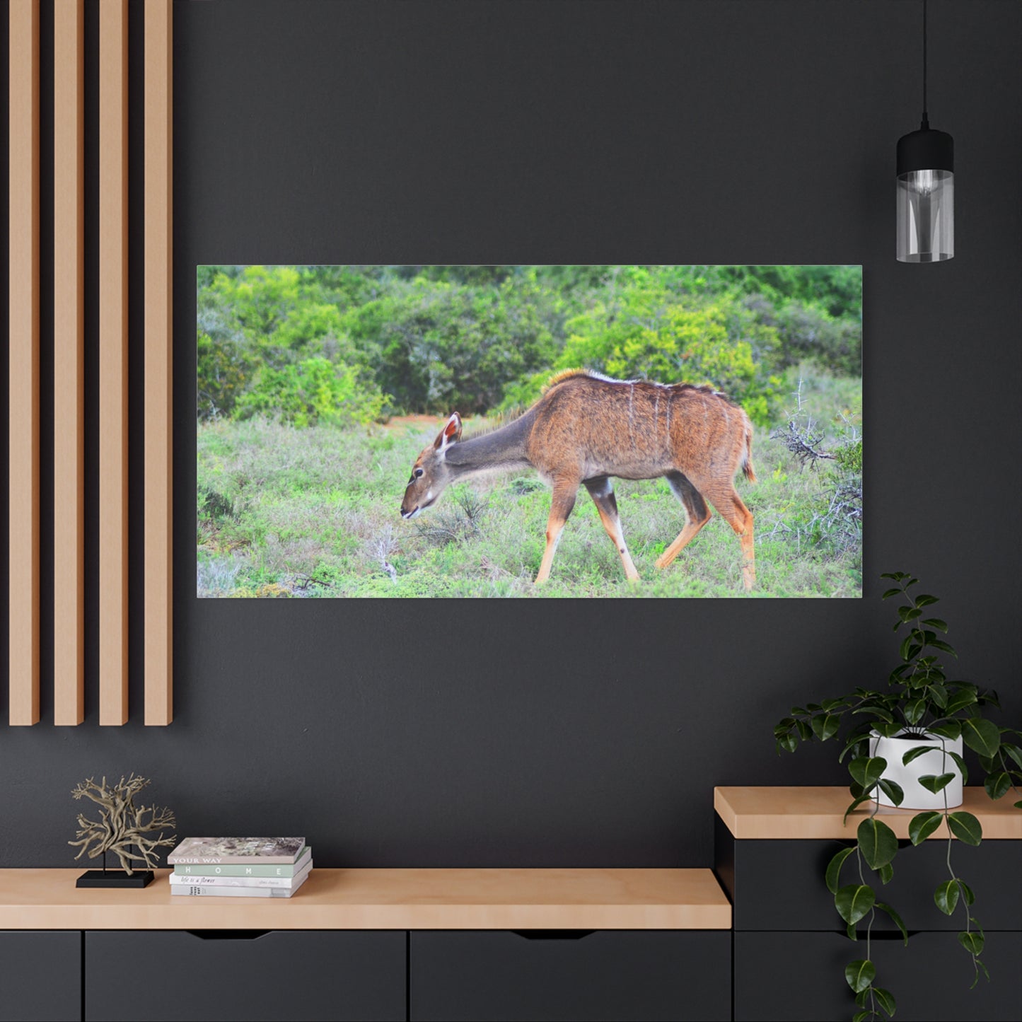 Africa Kudu Cow - Canvas Print