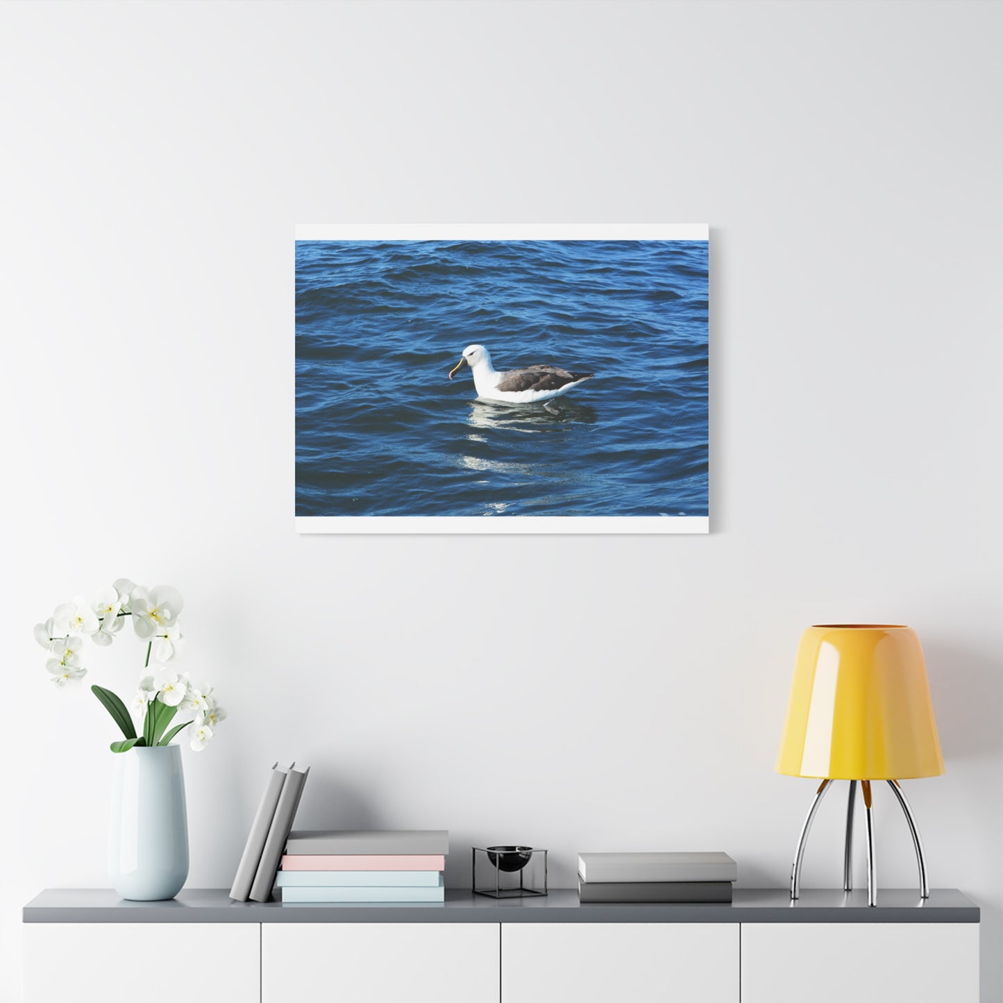 Albatross Canvas Print Sea Bird