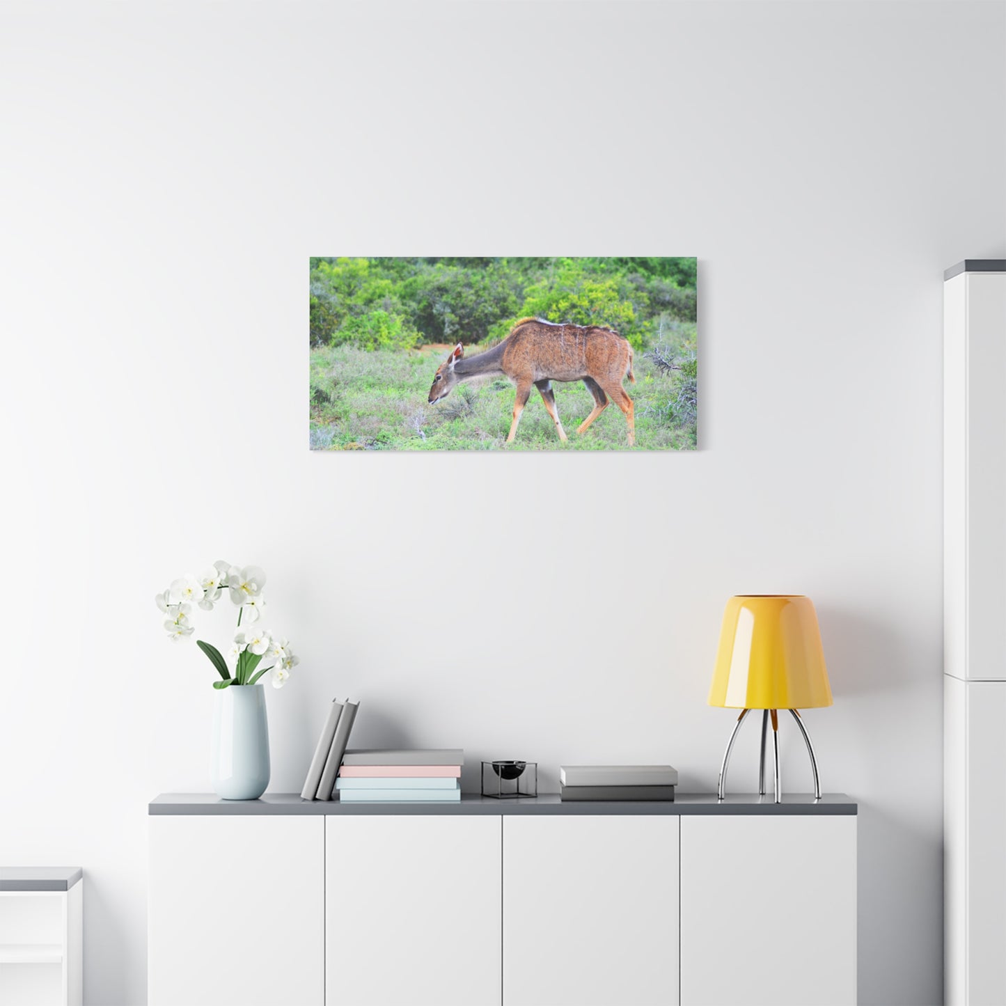 Africa Kudu Cow - Canvas Print