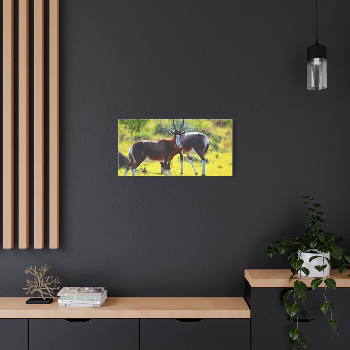 Blesbok in Africa - Canvas Print