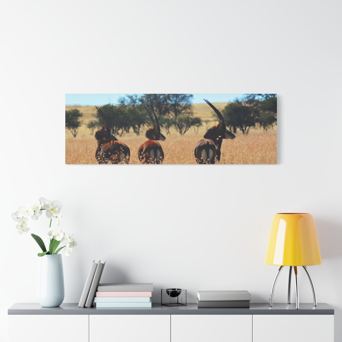 Sable Trio in Africa Canvas Print