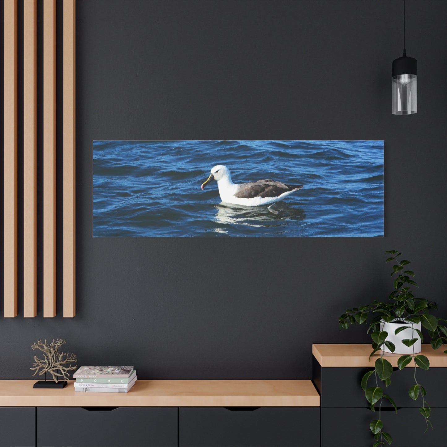 Albatross Canvas Print Sea Bird