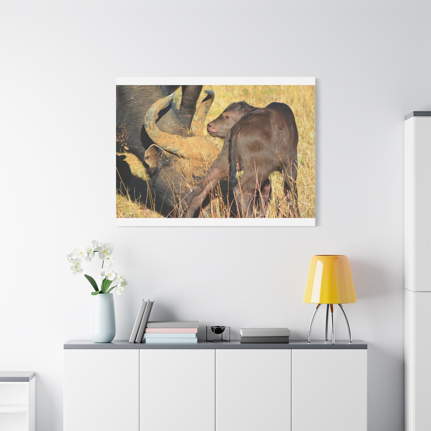 Cape Buffalo Tends to Calf