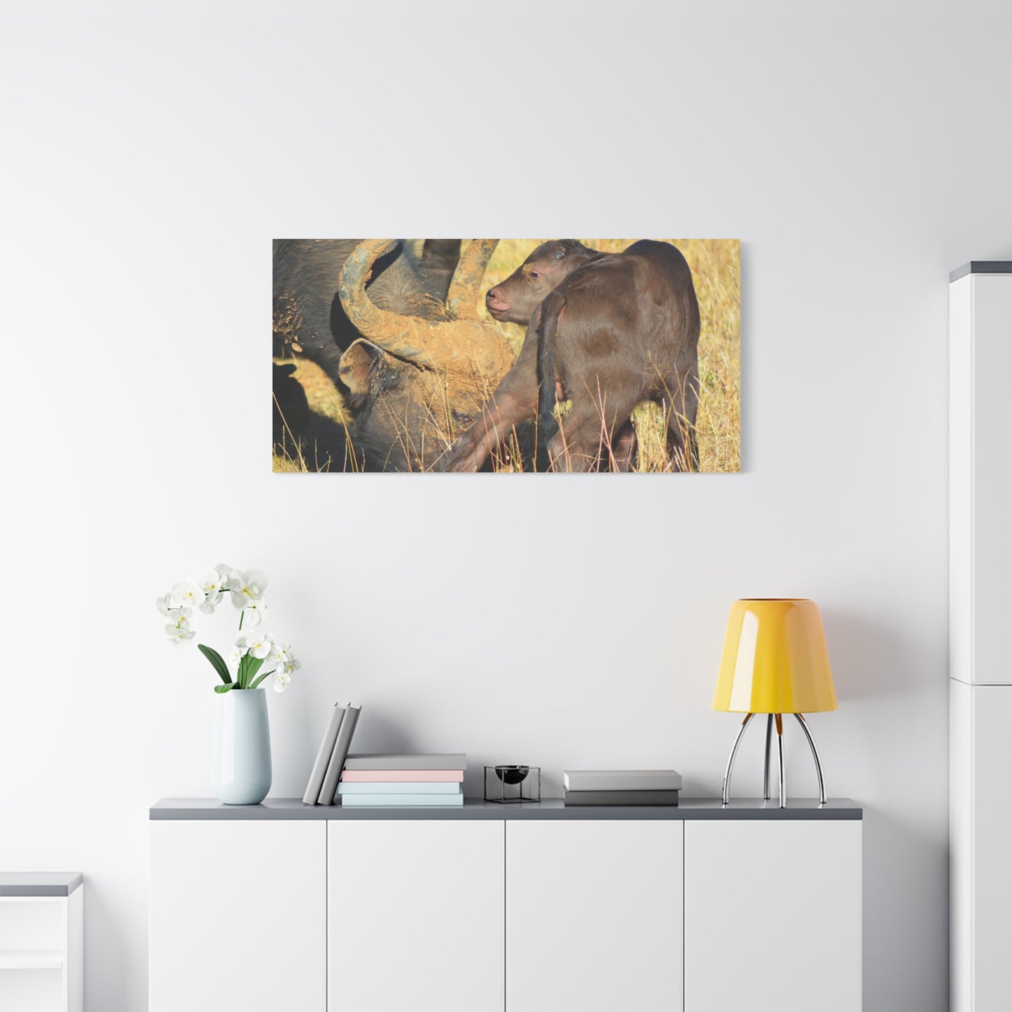 Cape Buffalo Tends to Calf