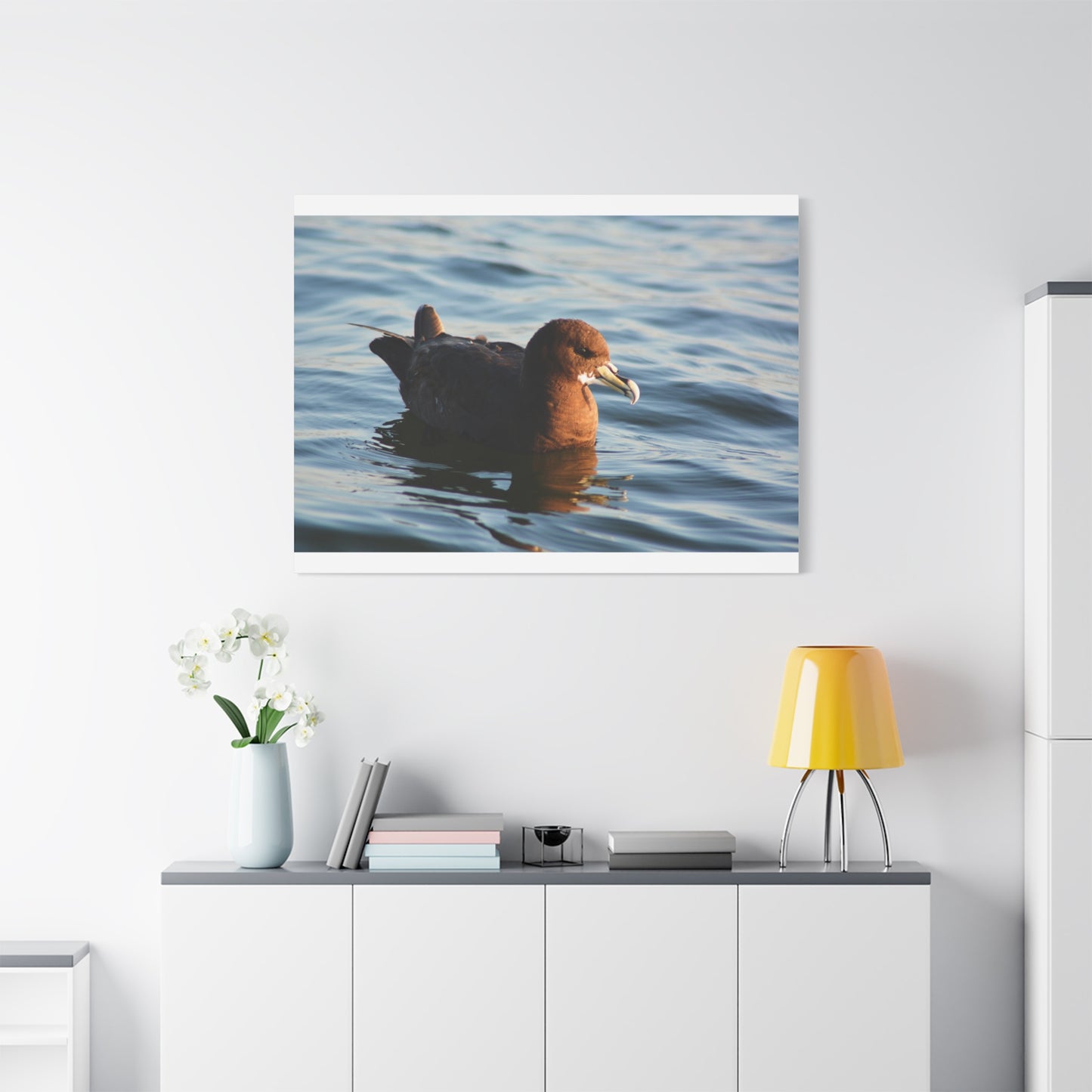 Bird Art Wall Decor, Coastal Wall Art, Ocean Decor, Nature Photography, Sea Bird Print