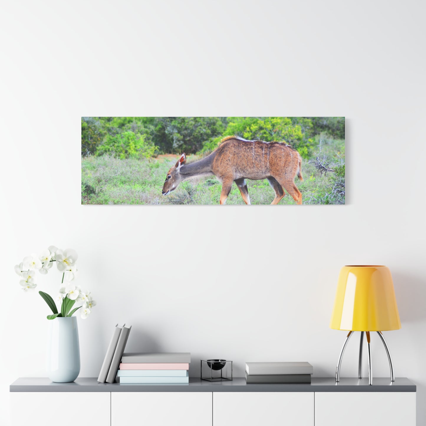 Africa Kudu Cow - Canvas Print