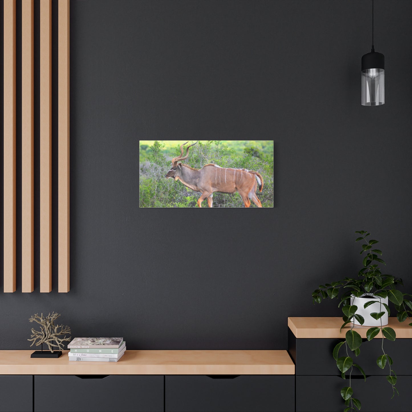 Africa Kudu Bull - Canvas Print