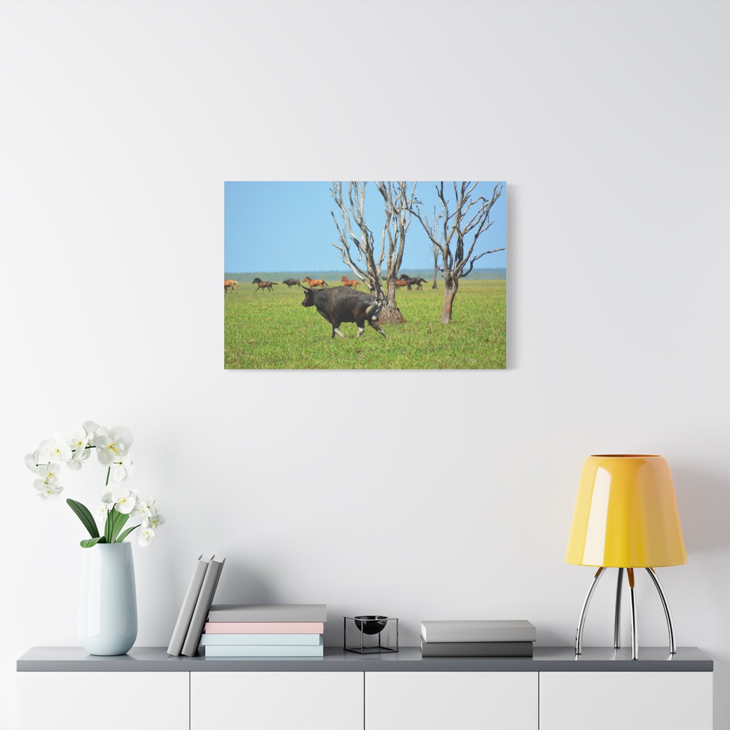 Australia Banteng - Canvas Print