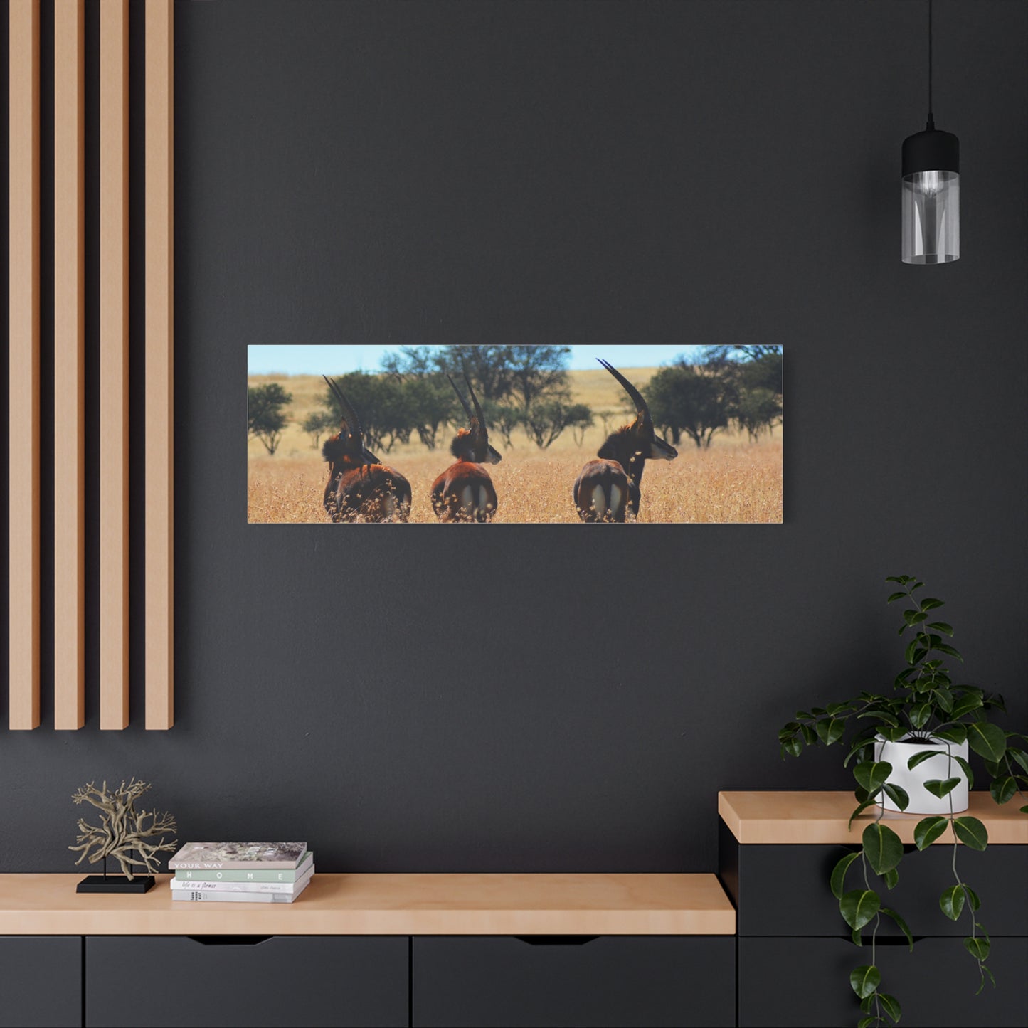 Sable Trio in Africa Canvas Print