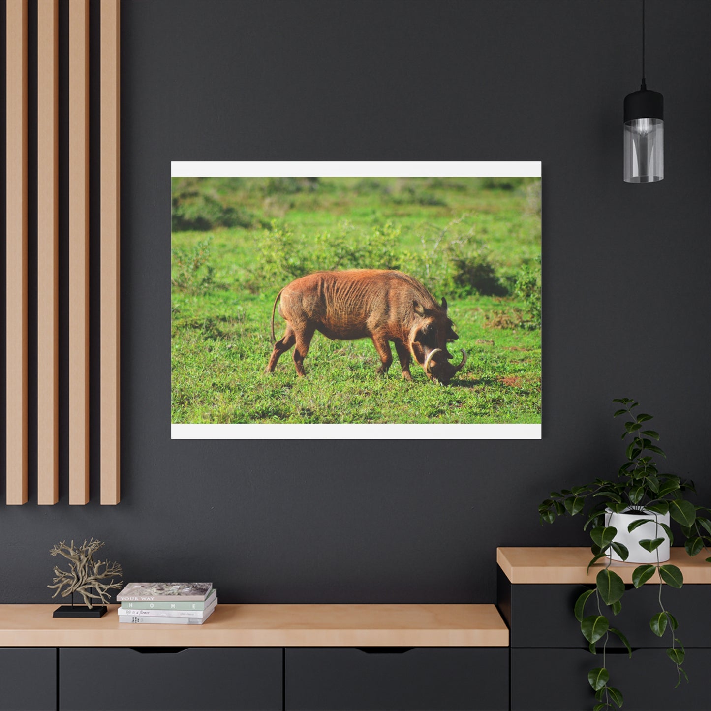 African Warthog - Canvas Print