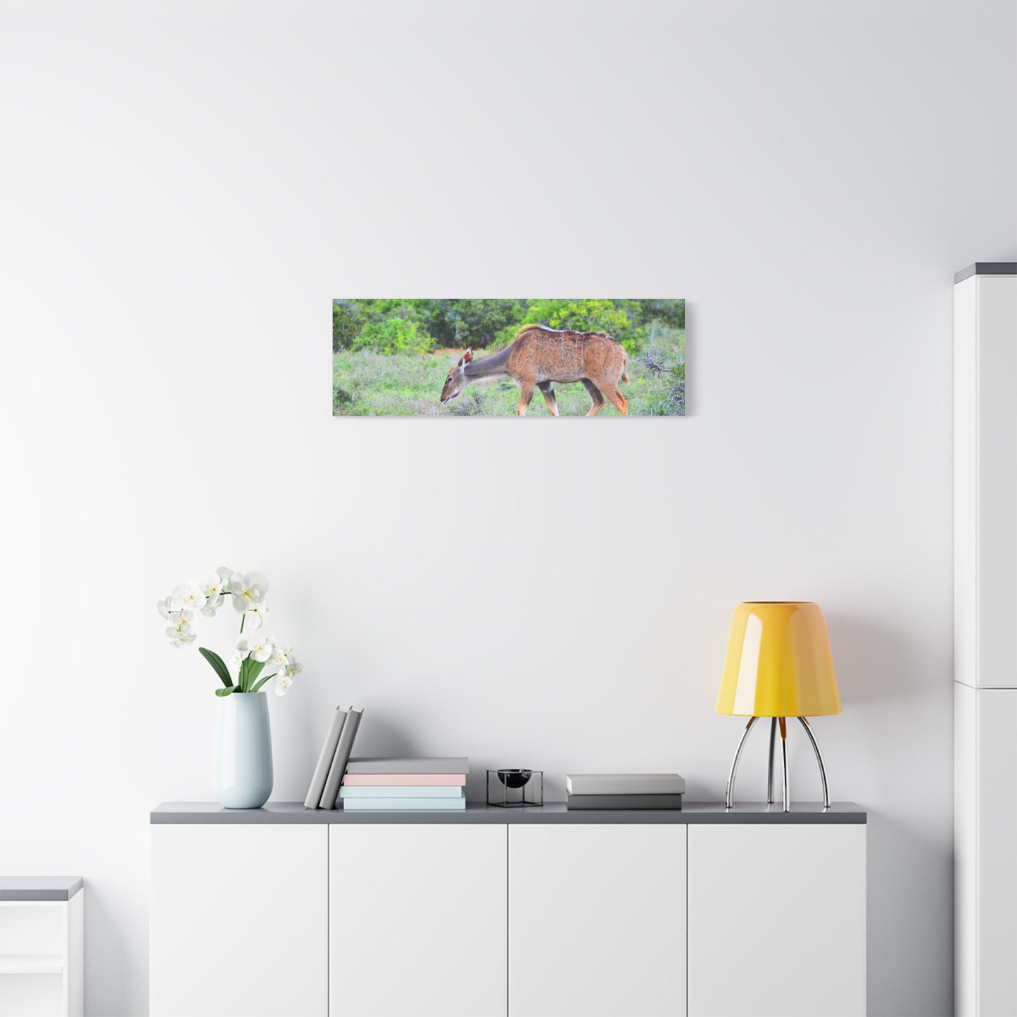 Africa Kudu Cow - Canvas Print