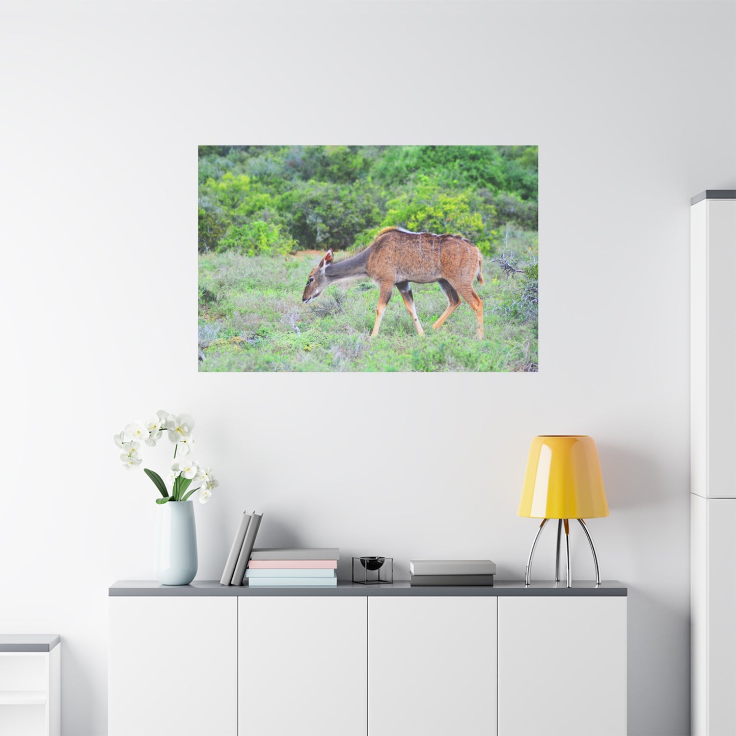 Africa Kudu Cow - Canvas Print